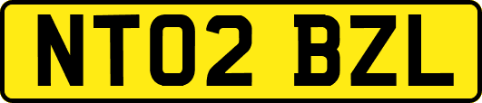 NT02BZL