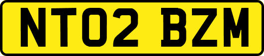 NT02BZM