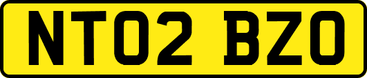 NT02BZO