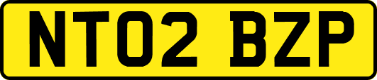 NT02BZP