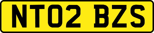 NT02BZS