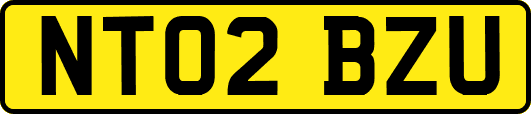 NT02BZU