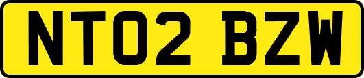 NT02BZW