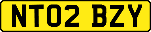 NT02BZY