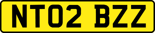 NT02BZZ