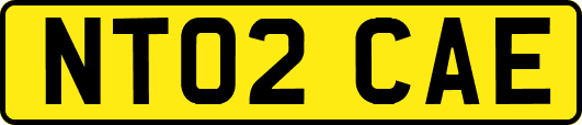 NT02CAE