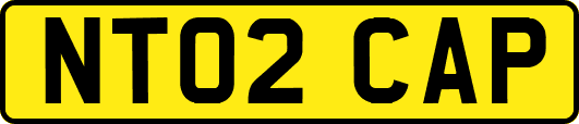 NT02CAP