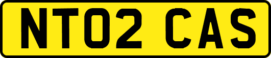 NT02CAS