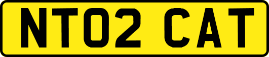 NT02CAT