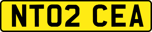 NT02CEA