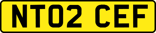 NT02CEF