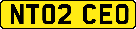 NT02CEO