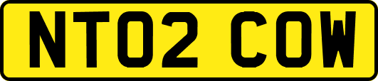 NT02COW