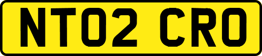 NT02CRO