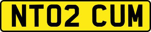 NT02CUM