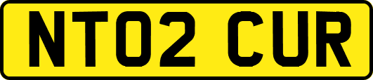 NT02CUR