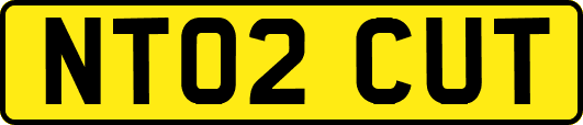 NT02CUT