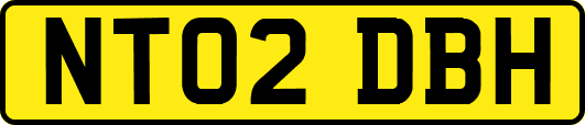 NT02DBH