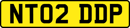 NT02DDP