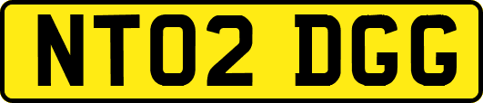 NT02DGG
