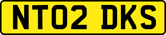 NT02DKS