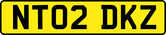 NT02DKZ