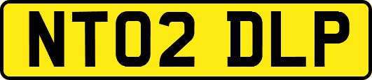 NT02DLP