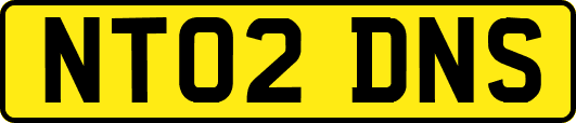 NT02DNS