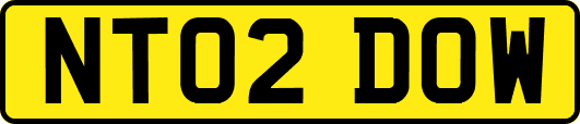 NT02DOW