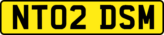 NT02DSM
