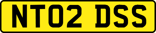 NT02DSS