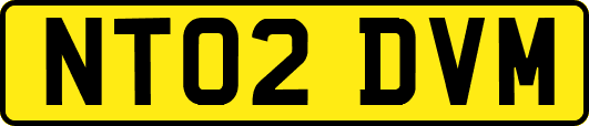 NT02DVM
