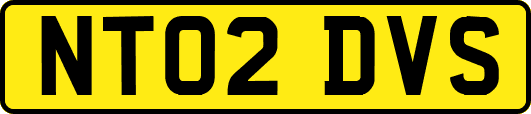 NT02DVS