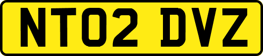 NT02DVZ