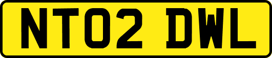 NT02DWL