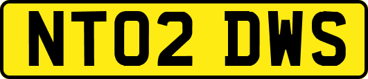 NT02DWS