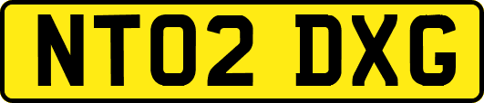 NT02DXG