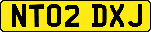 NT02DXJ