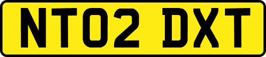NT02DXT