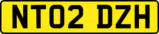 NT02DZH