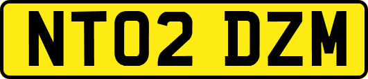 NT02DZM