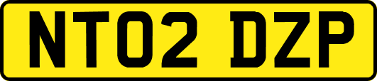 NT02DZP