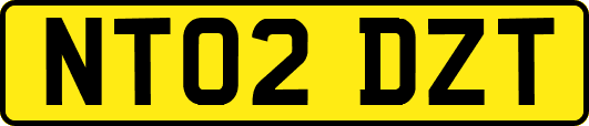 NT02DZT