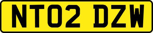 NT02DZW