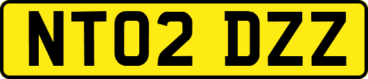 NT02DZZ