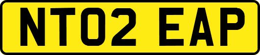 NT02EAP