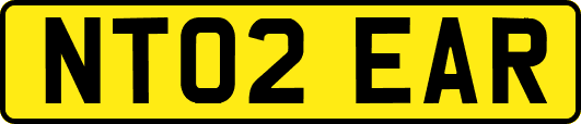 NT02EAR