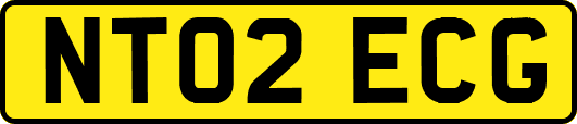 NT02ECG