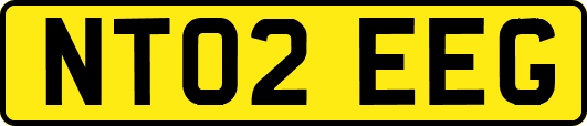 NT02EEG