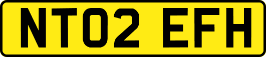 NT02EFH